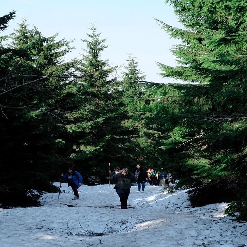 Impact of Social Media – 1. fáze