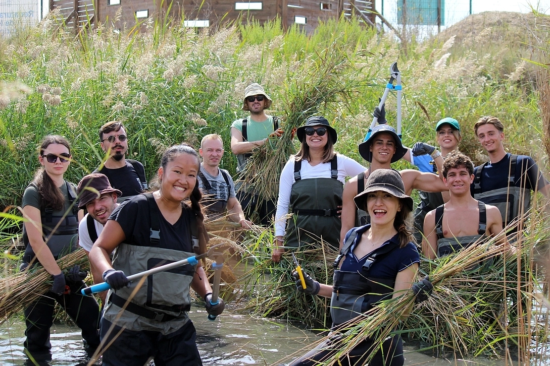 Green Skills 4 Future - 1. stage